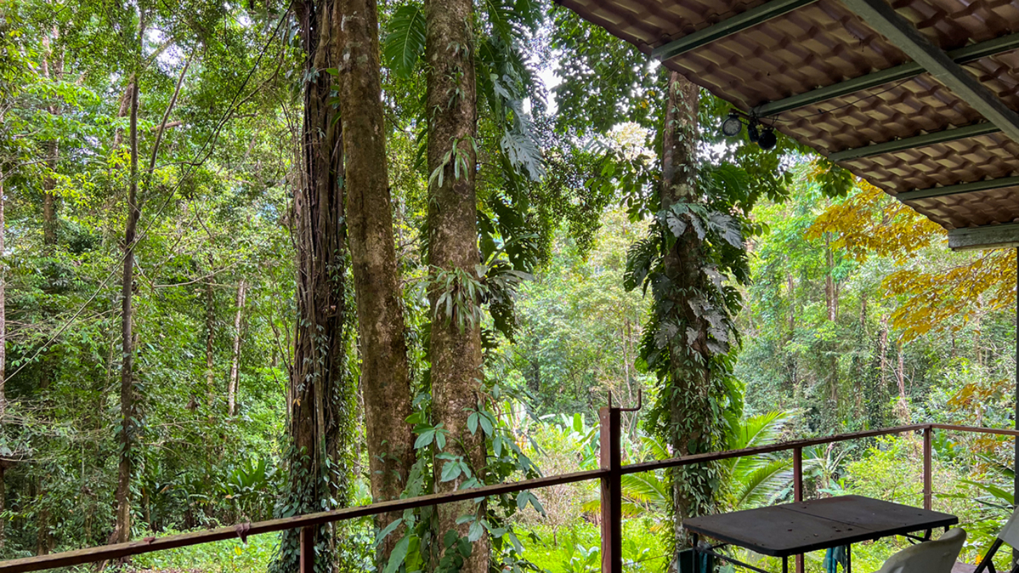 Riverfront Property with Primary Forest Close to Uvita Beaches selected