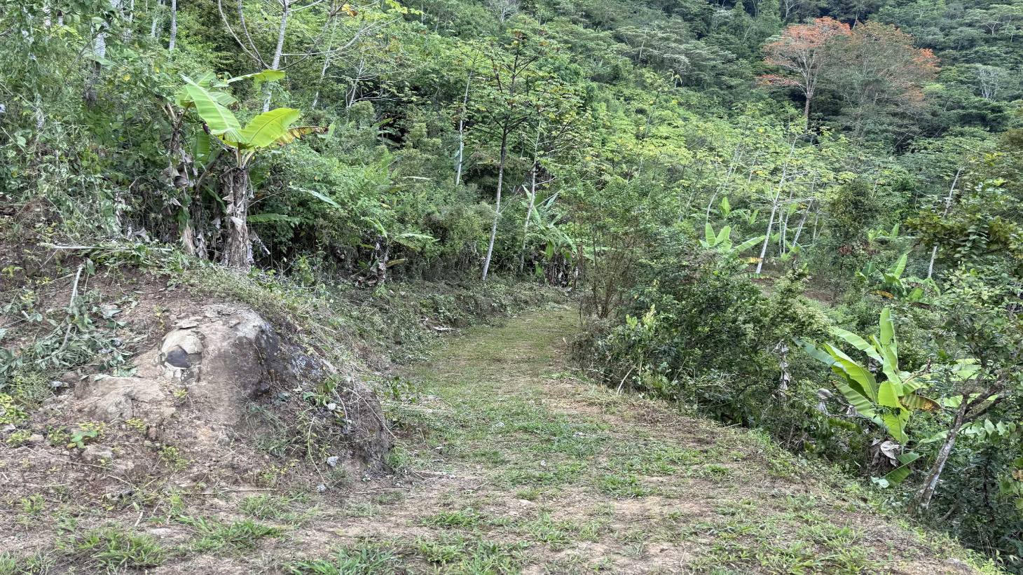 Jungle Lot with 3+ Building Sites, Legal Water, Electricity on Public Road with Big Valley & Mountain Views near San Josecito Costa Rica selected