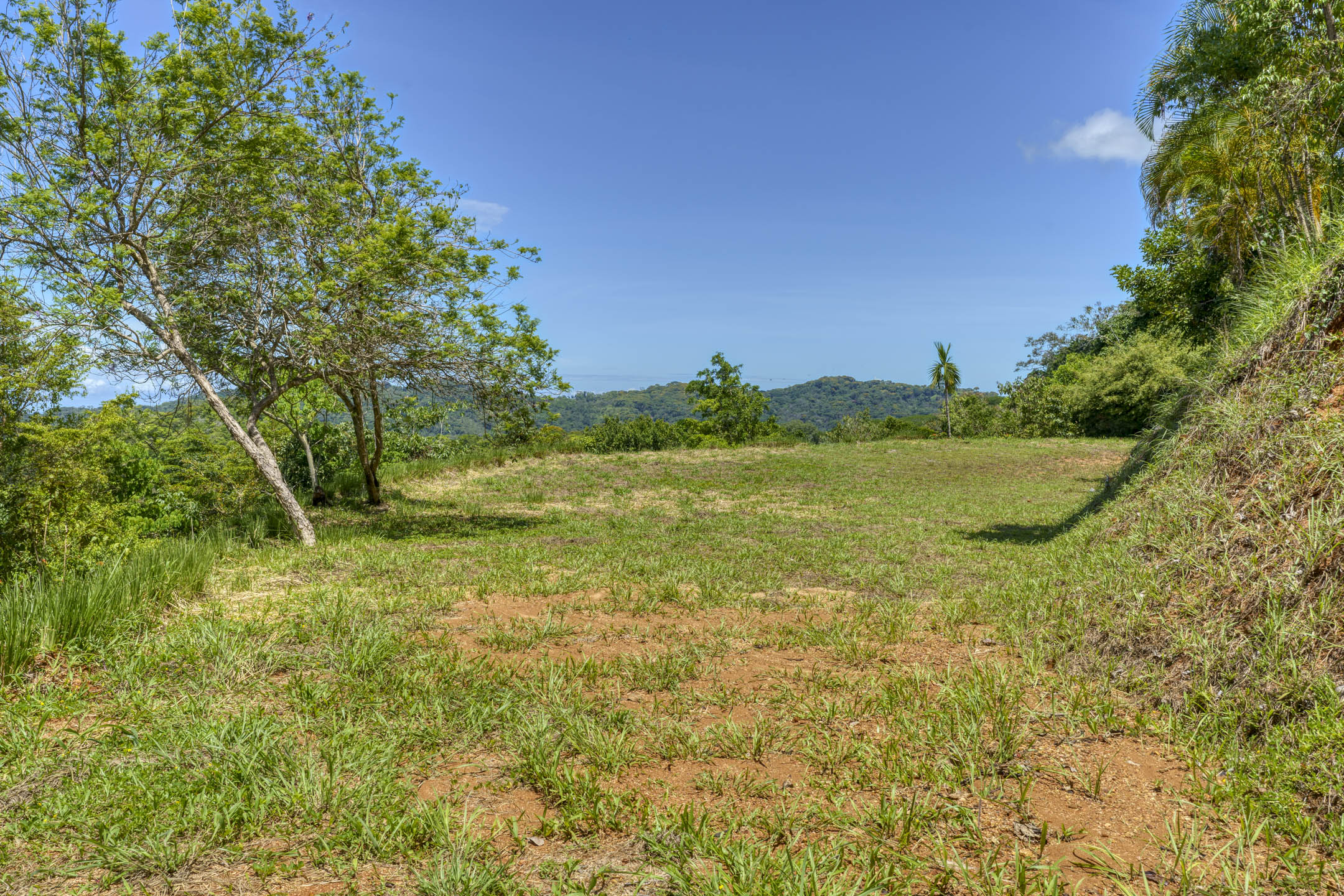26 Acres With Ocean, Mountain & Waterfall View In Platanillo selected