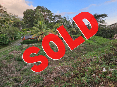Serenely Affordable Land in Ojochal image 1