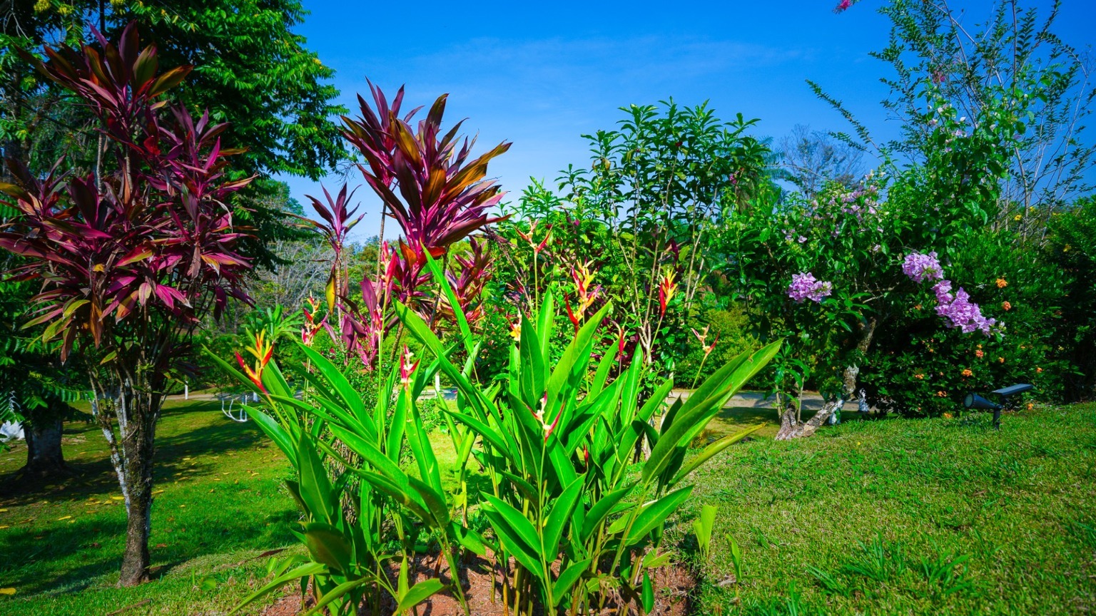 Modern 2-Bedroom Home for Sale in Ojochal, Costa Ballena selected