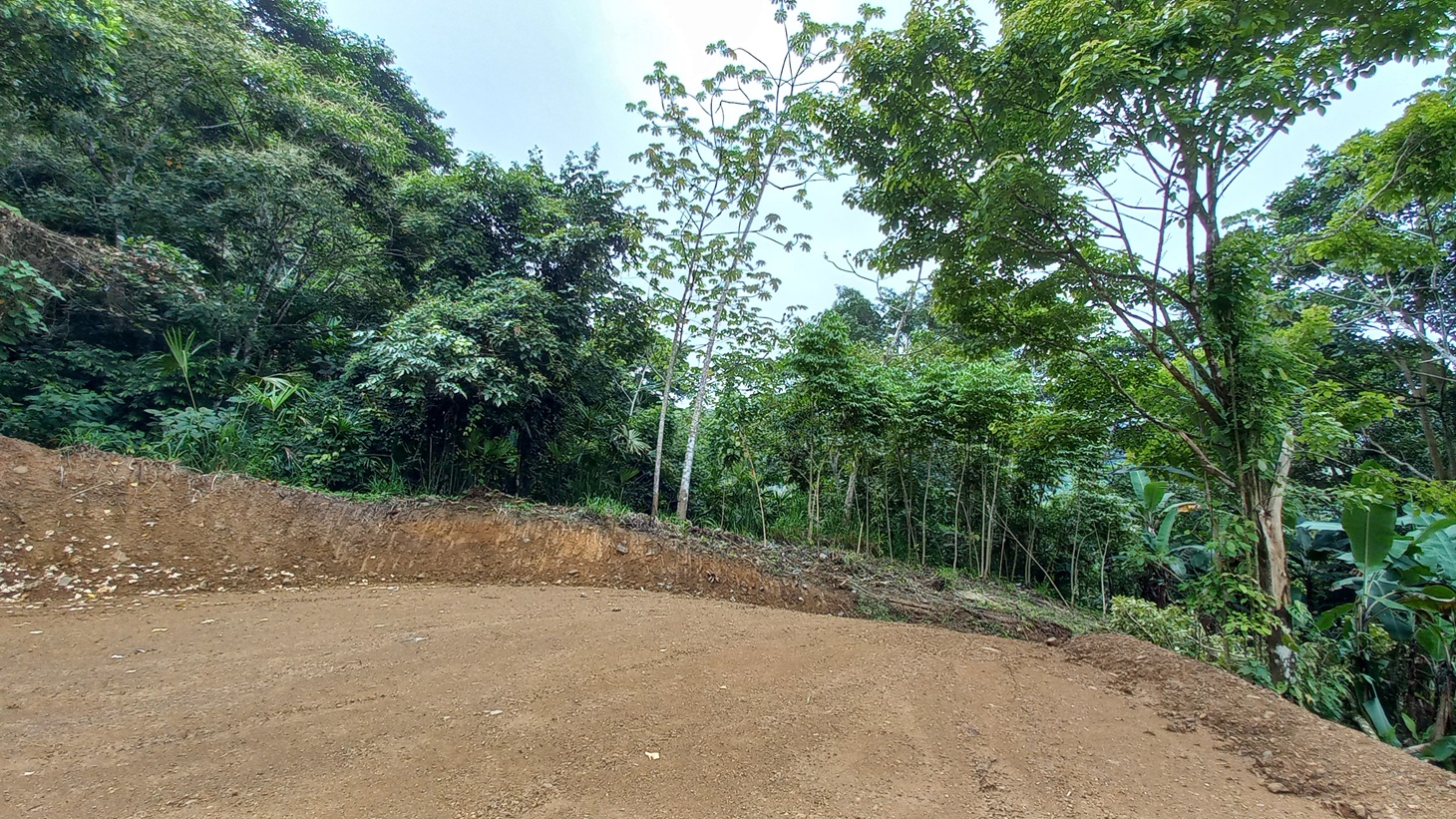 Mountain View Home Site with Seasonal Waterfall and Mature Fruit Trees selected