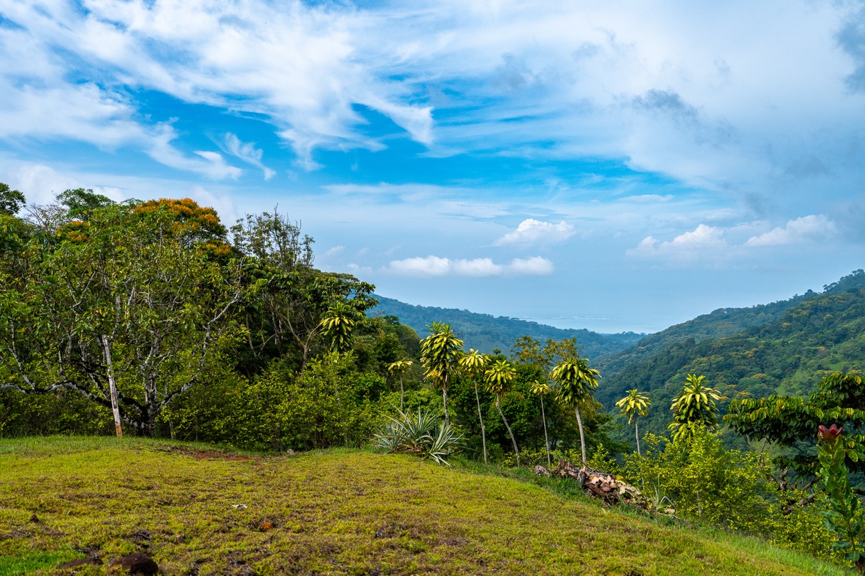 Ocean View Development Property with Waterfall Vista — 14.83 Acres in San Luis de Morete, Near Uvita selected