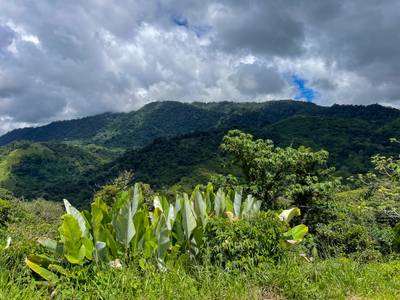 Stunning Lot for Sale in Southern Costa Rica – A Rare Opportunity! image 3