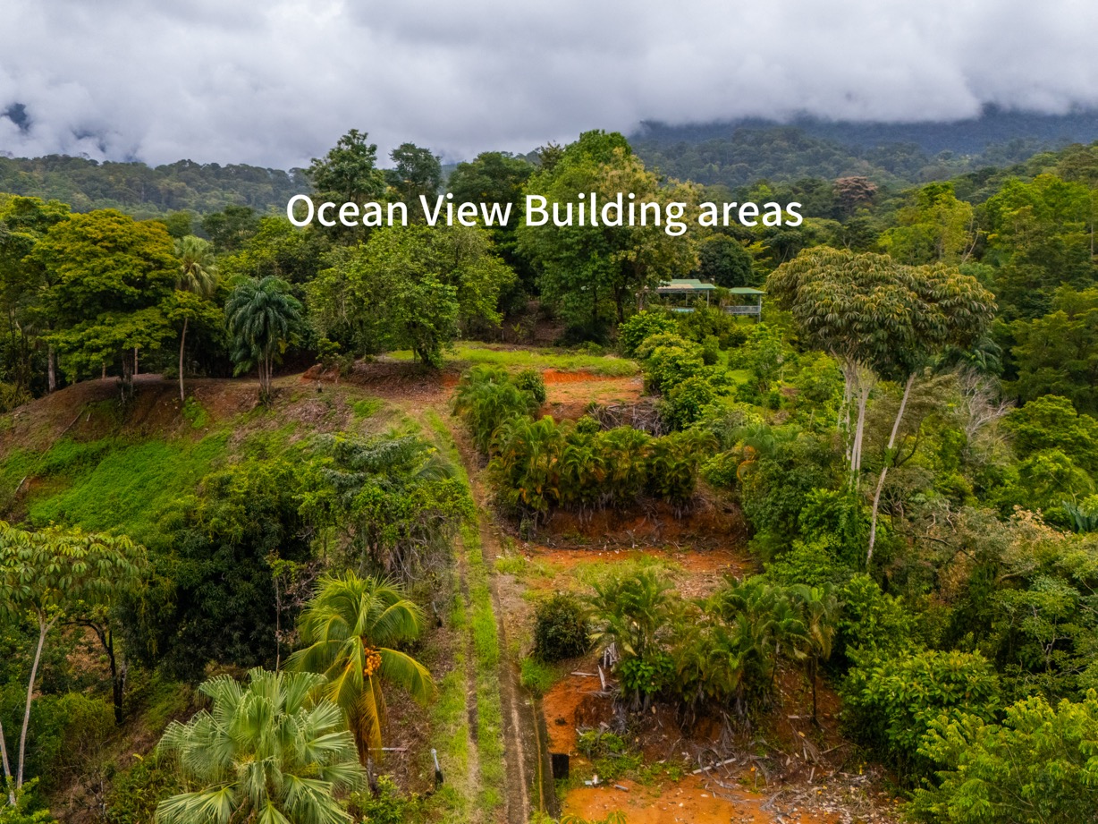 14.2 Acre Prime Commercial Property in Uvita – Highway Frontage and Unlimited Potential selected