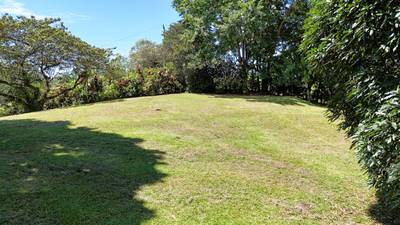 Prime Development Opportunity in Desirable Ojochal Location image 5