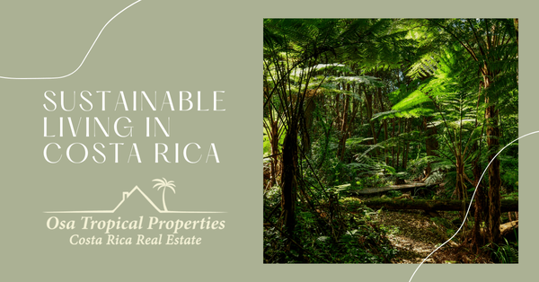 The Allure of Sustainable Living in Costa Rica