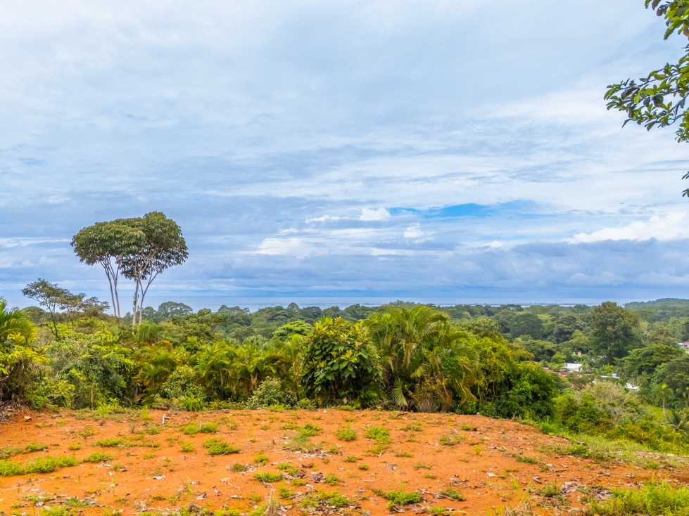 14.2 Acre Prime Commercial Property in Uvita – Highway Frontage and Unlimited Potential selected