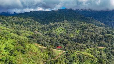 2-Home Jungle Property with Ocean, Mountain, and Waterfall Views image 5