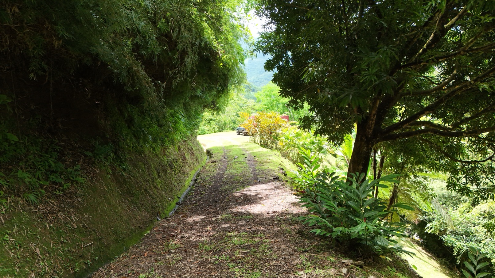 Expansive Oceanview Estate Lot in Uvita selected