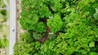 Prime Lots for Sale in Tawal, Osa – Excellent Location Near Cortes and Ojochal image 2