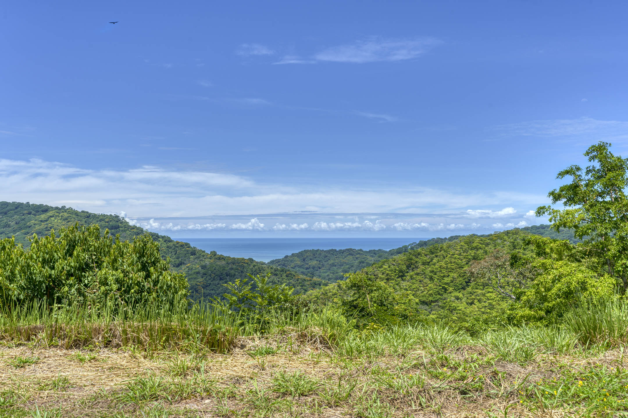 26 Acres With Ocean, Mountain & Waterfall View In Platanillo selected