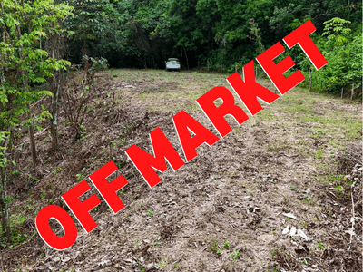 Creekside Land with Big Flat Building Area in Tres Ríos image 1