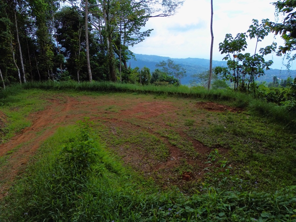 Build-Ready Ocean View Homesite Above Uvita – Iconic Ballena Rock Views & Prime Hillside Setting selected