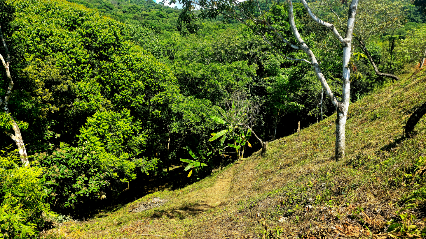 Ocean View Property with River & Waterfall Access – Tres Ríos de Osa selected