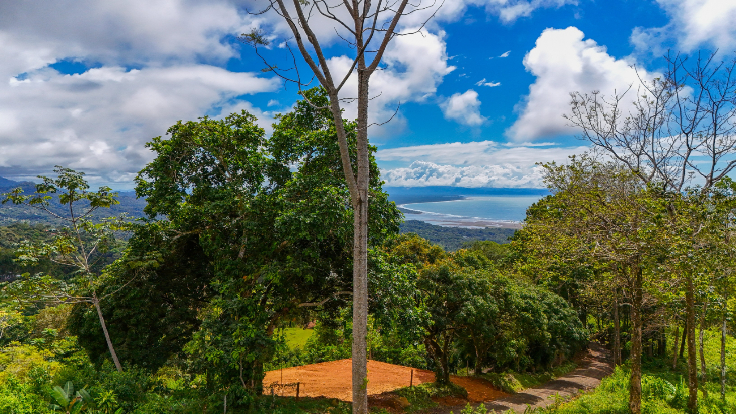 Expansive Ocean View Lot for Sale in Cinco Ventanas, Ojochal selected