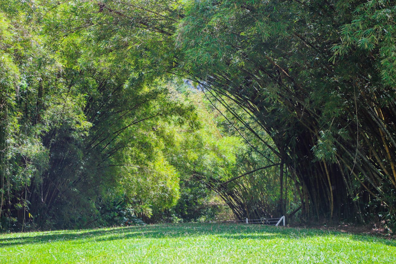 3.7-Acre Airport-Adjacent Property with Direct Runway Access, Prime Zoning, and Mountain Views selected