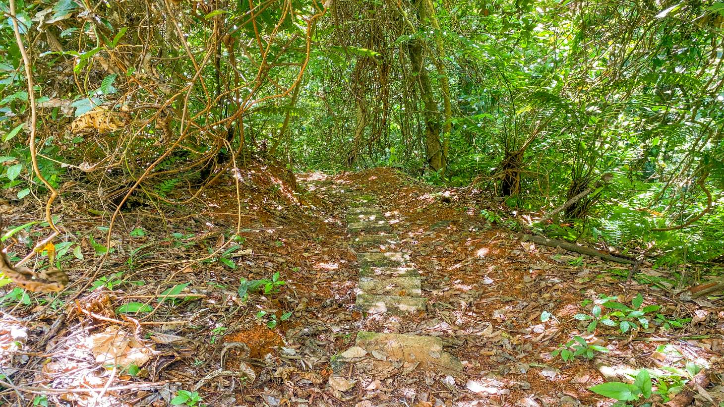 3 Bedroom Rainforest Home in Ojochal With River & Waterfall | 3.5 Acres Private selected