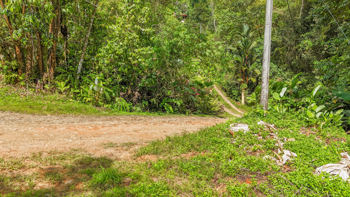 Jungle Lot for Sale in Ojochal With River & Waterfall selected
