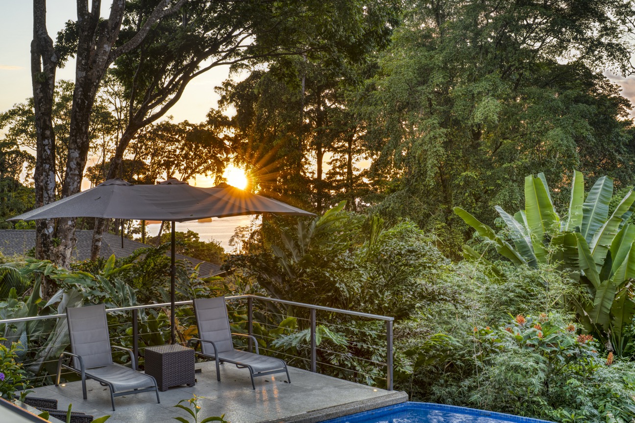 Ocean-View Wellness Estate in Costa Ballena with Luxury Rental Income selected