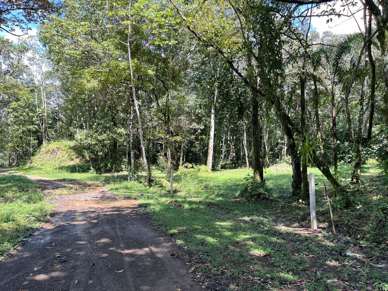 Flat Lot in Tortuga: Your Dream Project Awaits selected