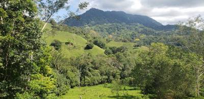 Private Mountain Sanctuary in Costa Rica awaits image 4