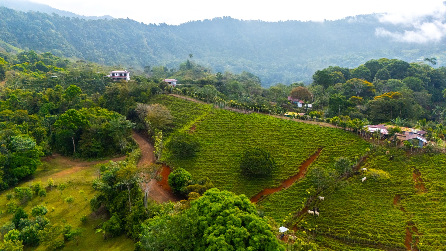 Ocean View Development Property with Waterfall Vista — 14.83 Acres in San Luis de Morete, Near Uvita selected