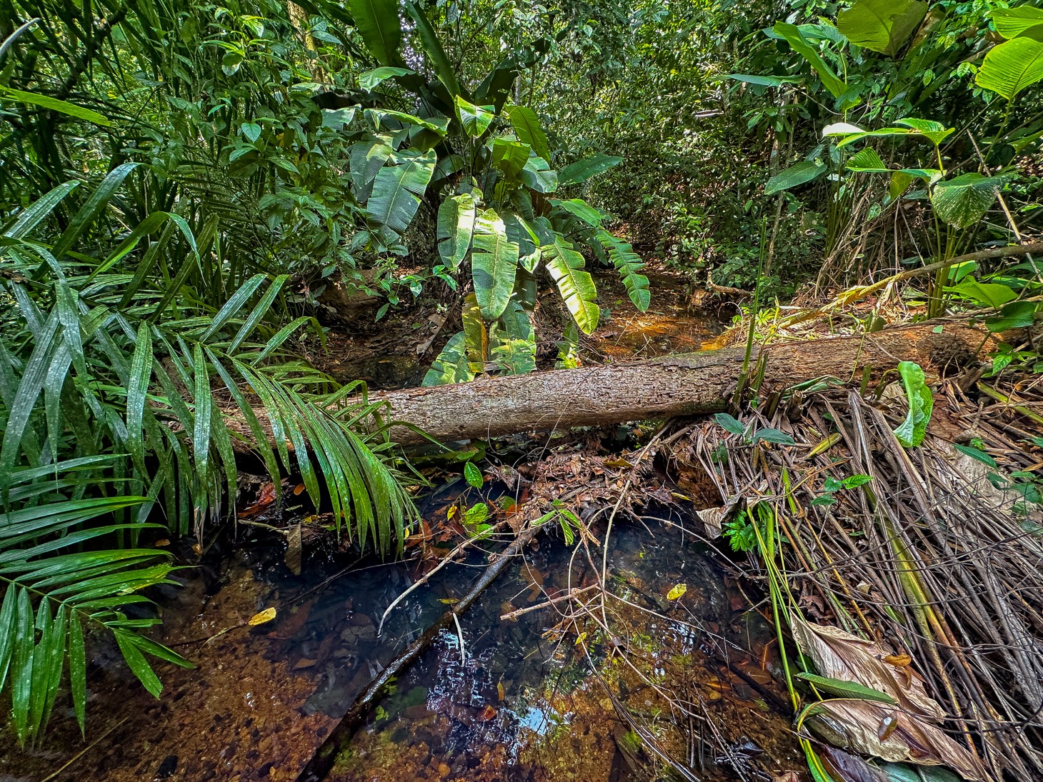 image-selected