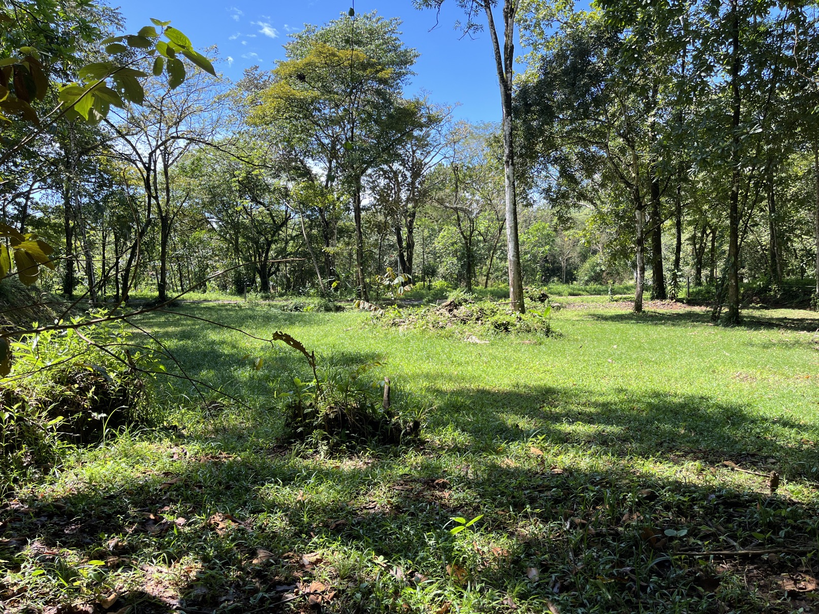 Flat Lot in Tortuga: Your Dream Project Awaits selected