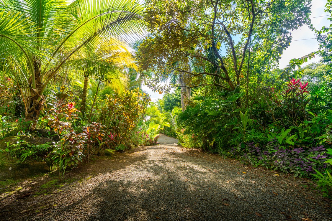 Dreamy Mediterranean Estate in Escaleras selected