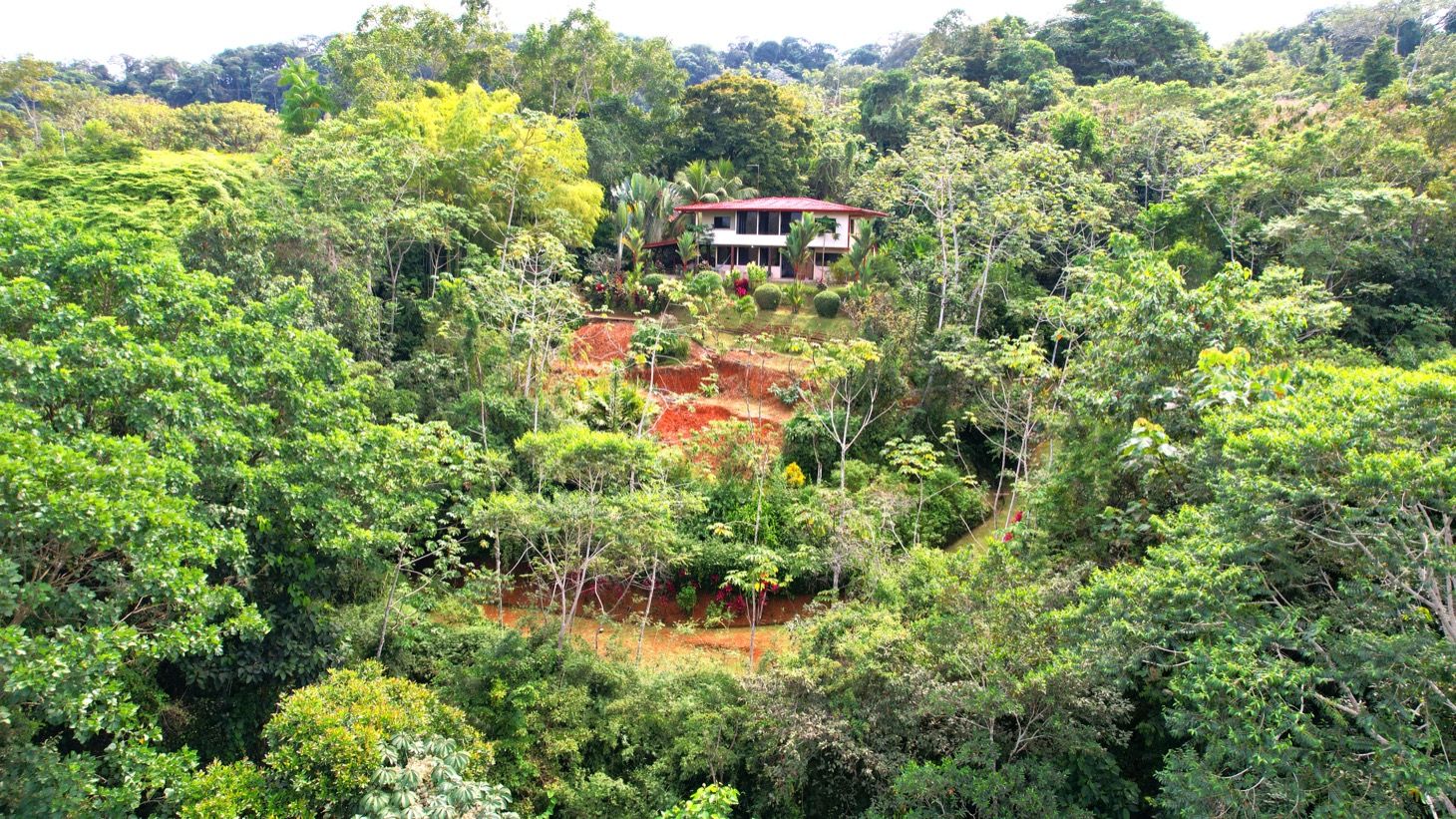 Valley of Dreams - A Beautiful Multi-Use Property Near Cacao Ridge, 10.85 Acres at a Phenomenal Price! selected