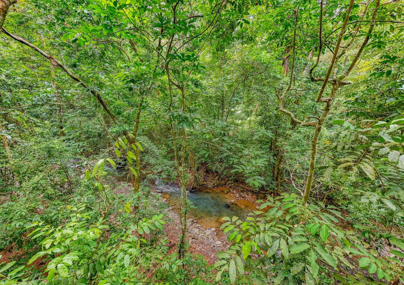 Jungle-Immersed Modern Retreat with Riverfront, Pool, and Expansion Potential in Cinco Ventanas selected