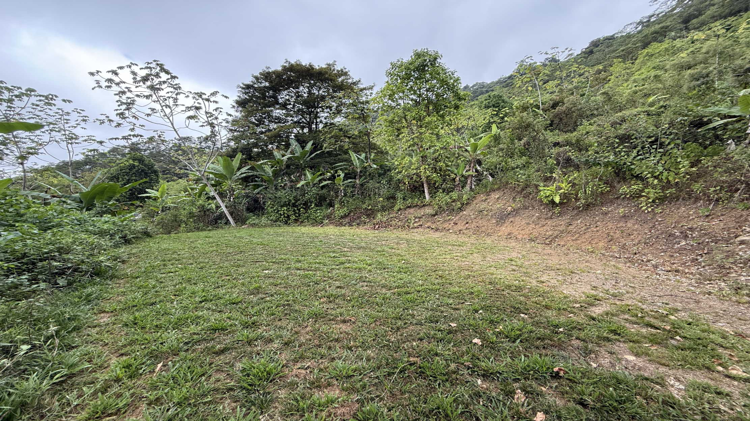 Jungle Lot with 3+ Building Sites, Legal Water, Electricity on Public Road with Big Valley & Mountain Views near San Josecito Costa Rica selected