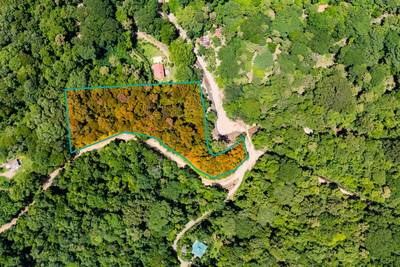 Riverfront Property with 3.26 Acres of Nature, Convenience, and Development Potential image 2