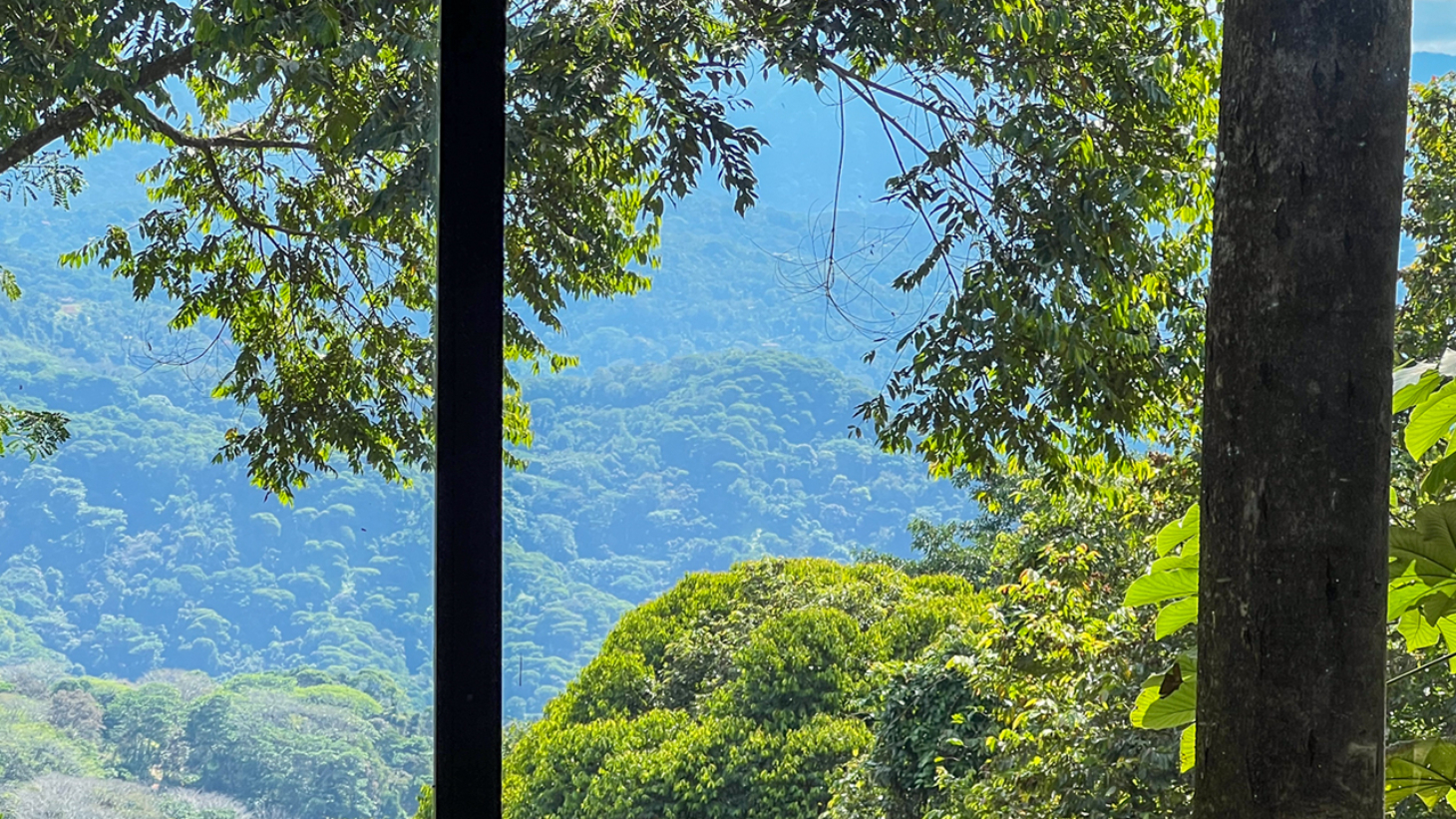 Rainforest Retreat with a Forested Setting and Good Rental History in Lagunas selected