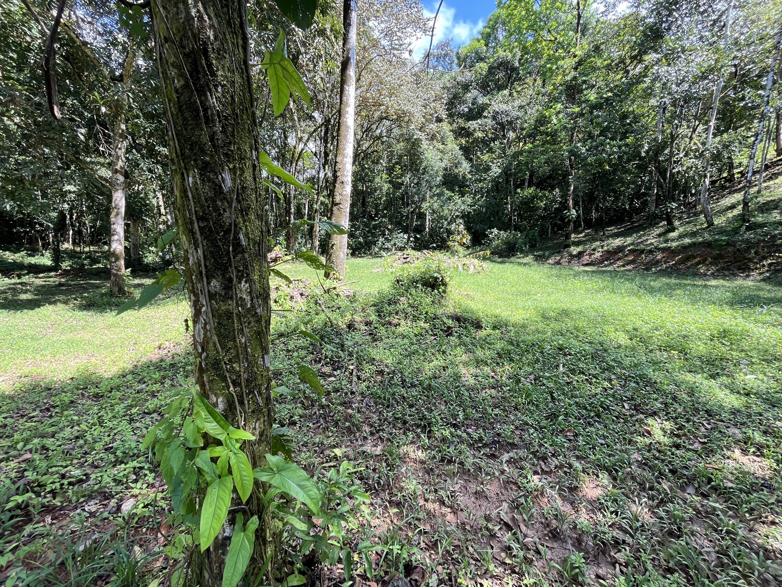 Flat Lot in Tortuga: Your Dream Project Awaits selected