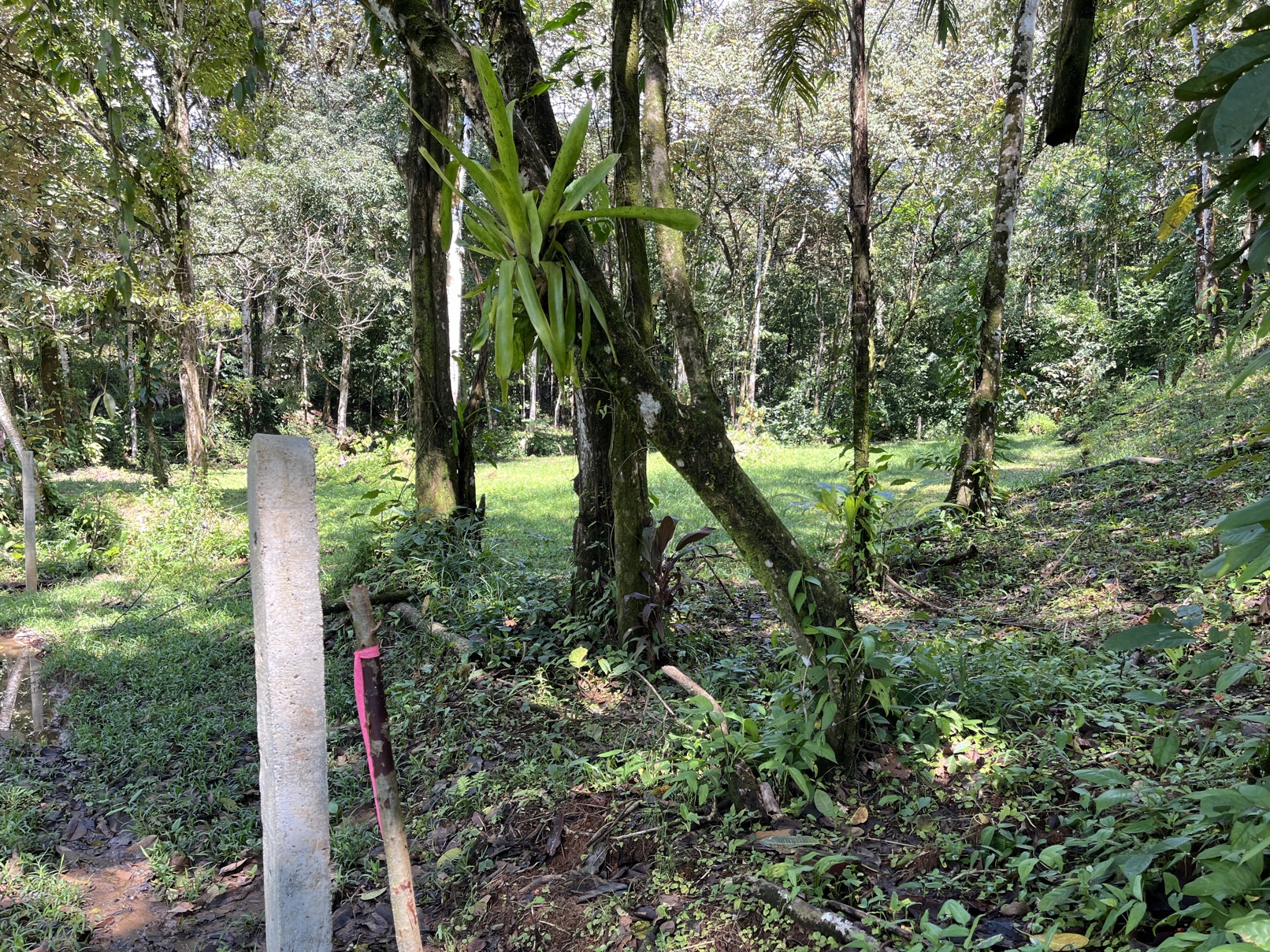 Flat Lot in Tortuga: Your Dream Project Awaits selected