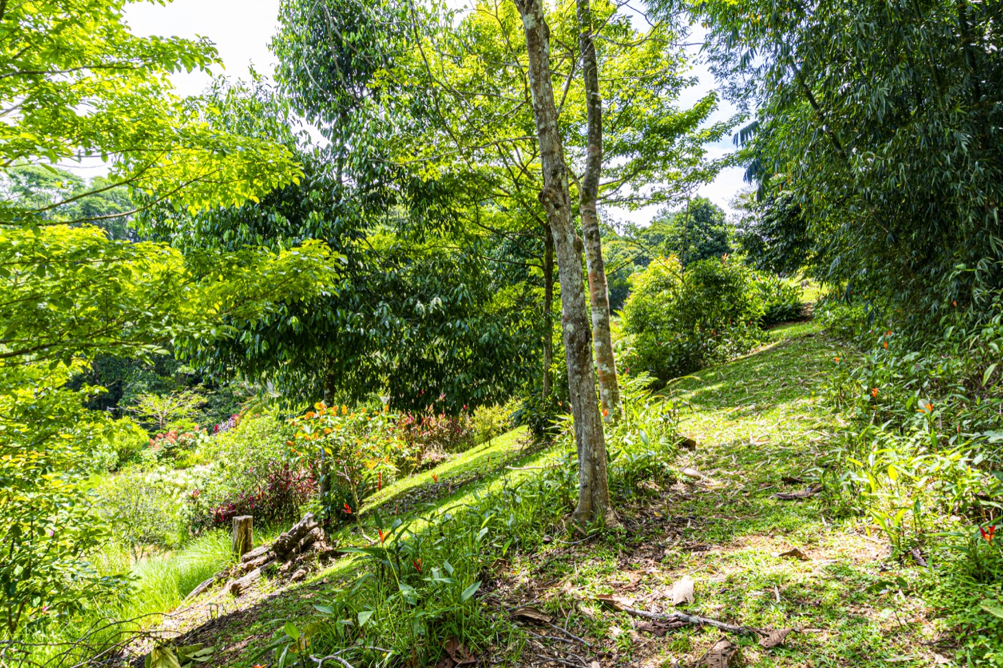 Move-In Ready Ocean View Home Surrounded by Nature selected