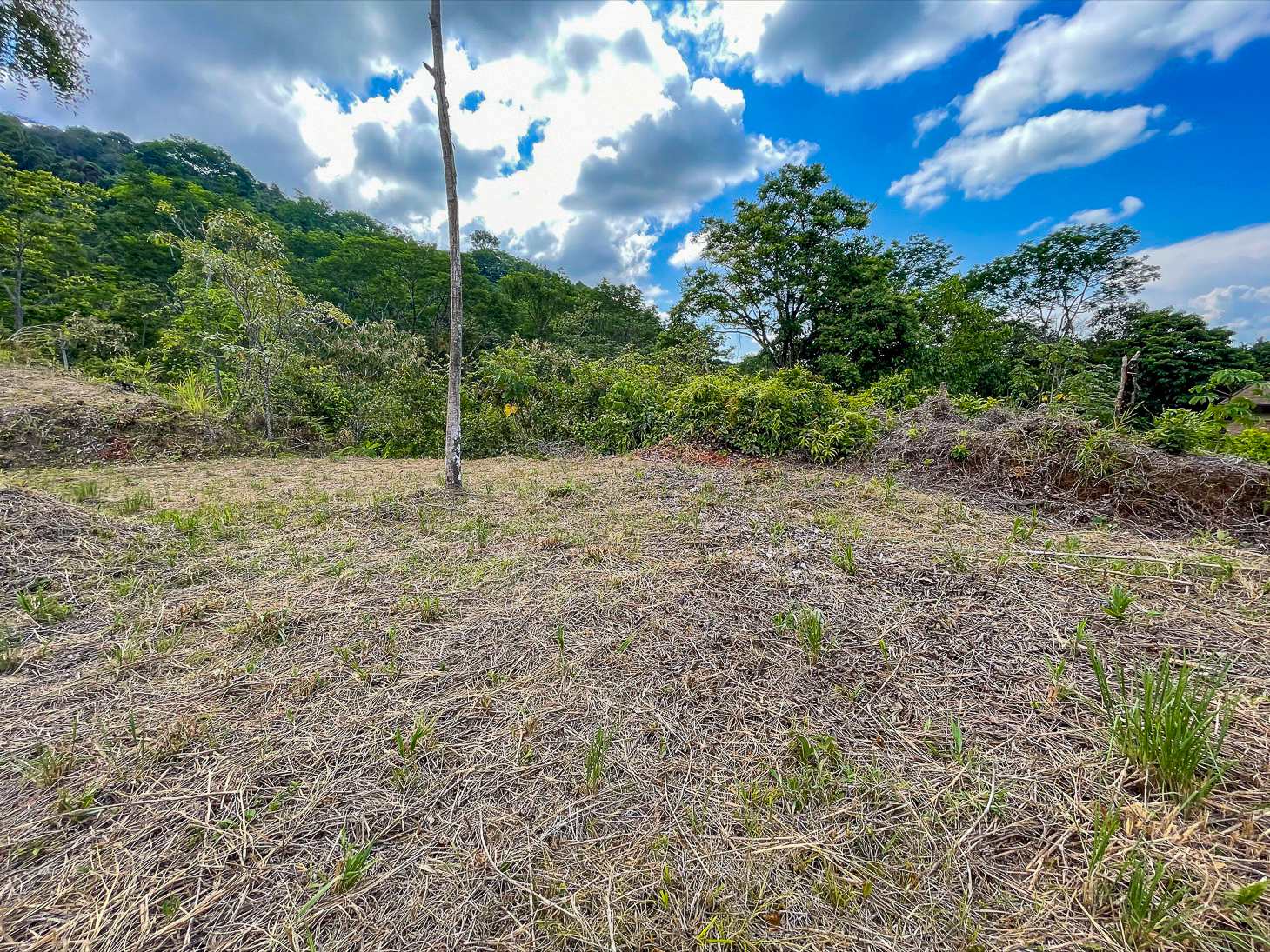 Excellent Dream Home Or Mini-Development Opportunity: 2.2-Acre Ocean View Property in Ojochal, Costa Rica selected