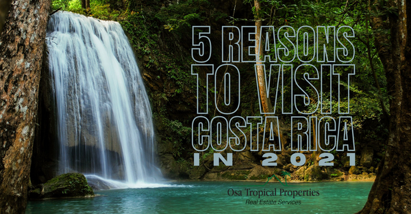 5 Reasons To Visit Costa Rica In 2021
