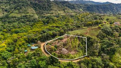 1.5 Acre Ocean & Mountain View Lot Near Uvita | Legal Water & Privacy image 1