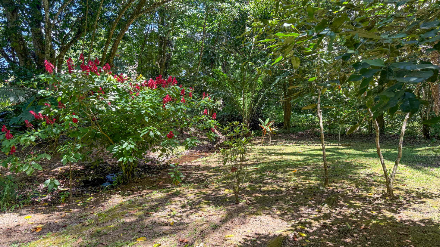 Gorgeous Jungle Hotel with 11 Beds including Owner/Manager Unit, Sparkling Pool & River Setting in Ojochal Costa Rica selected