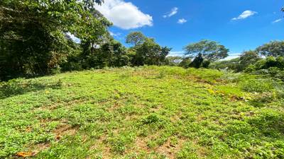 Jungle Lot for Sale in Ojochal With River & Waterfall image 3