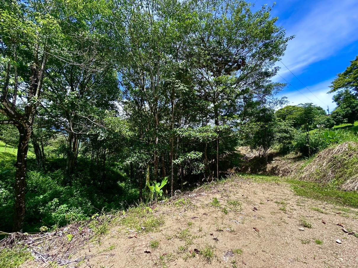 Build-Ready Lot with Mountain Views and Easy Access in Ojochal selected