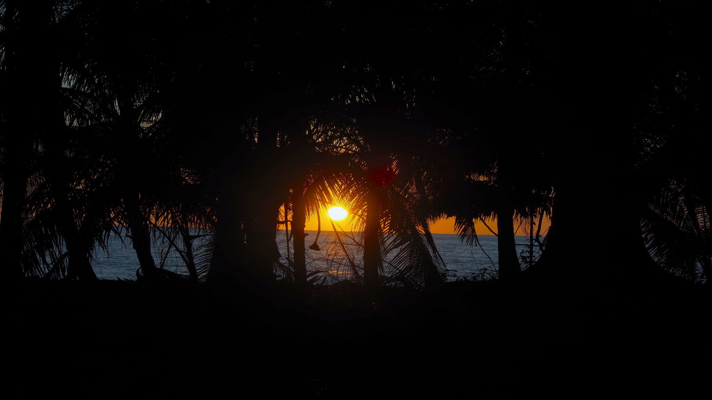 Rare Beachfront Lot Privately Located in Ballena Beach selected