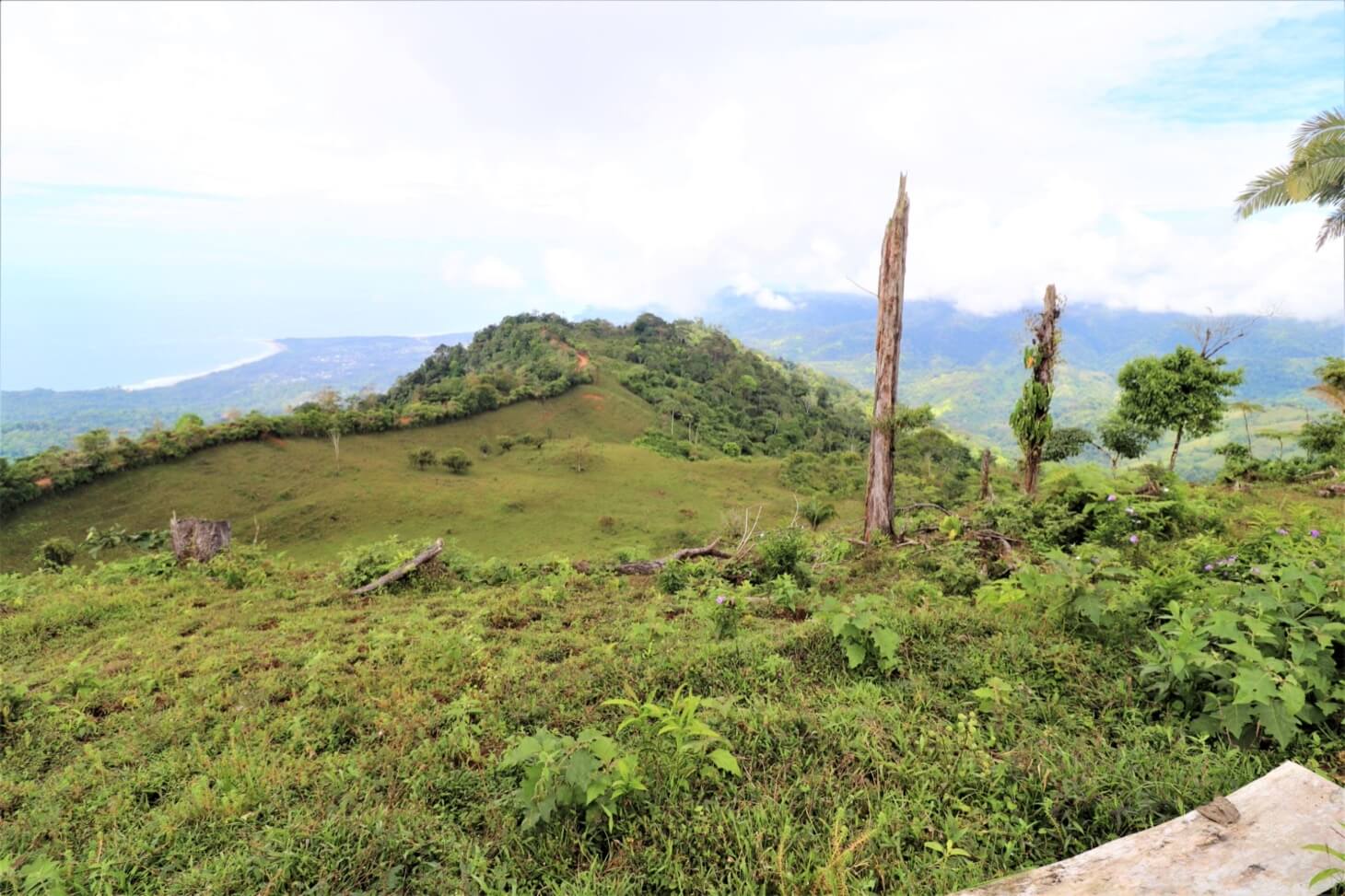 3 Spectacular Ocean View Farms in Uvita selected