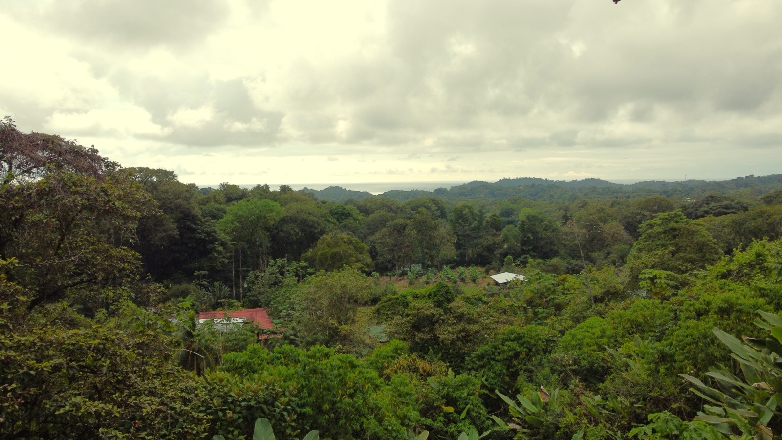 Brand-New 2-Bedroom Ocean-View Home with Pool in Ojochal selected