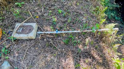 Private Mountain Sanctuary in Costa Rica awaits image 5