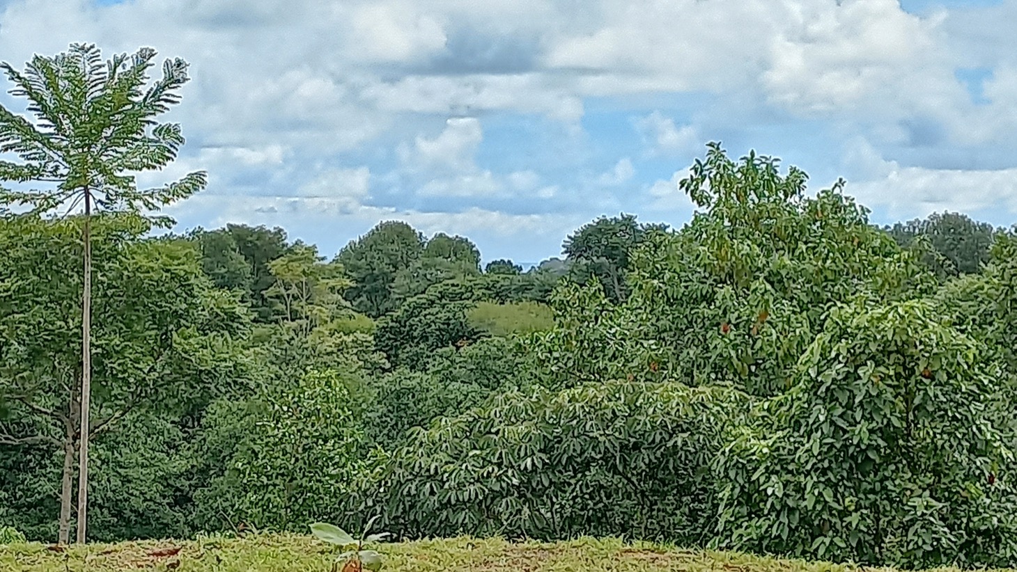 1.8 Acre All Usable Land with Pocket Ocean View Ripe for Development selected