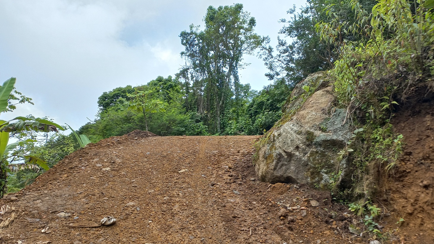 Mountain View Land with Several Building Sites and Mature Fruit Trees selected